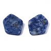 Natural Blue Spot Jasper Cabochons G-S359-323B-3