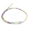 Natural Freshwater Shell Beads Strands SH-CBA93AD-04-3