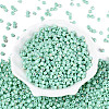FGB Opaque Colours Glass Seed Beads SEED-Q040-07A-A05-2