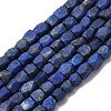 Natural Lapis Lazuli Beads Strands G-F808-K01-01-2