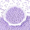 Opaque Glass Seed Beads SEED-N012-09A-13-2