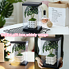 4 Sets Clear Plastic Packing Boxes with Paper Top and Bottom CON-GO0001-28B-5