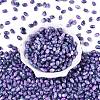 Glass Seed Beads SEED-T009-02M-1