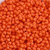Baking Paint Glass Seed Beads X1-SEED-K010-A10-2