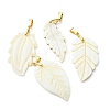 Natural Freshwater Shell Carved Pendants PALLOY-JF05384-2