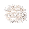 Electroplated Shell Pearl Beads BSHE-D301-01-2