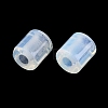 Opalite European Beads G-P520-05X-3
