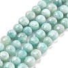 Natural Amazonite Beads Strands G-C179-J01-01-2