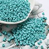 TOHO Round Seed Beads SEED-TR08-0055-4