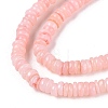 Natural Freshwater Shell Beads Strands SHEL-Q028-01D-3