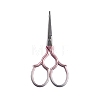 Stainless Steel Scissors PW-WGB3D50-08-1