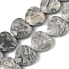Natural Map Stone Beads Strands G-A309-A17-01-2