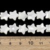 Natural Trochid Shell/Trochus Shell Beads Strands SH-CBA2978-17B-2
