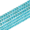 2 Strands 2 Styles Synthetic Turquoise Beads Strands G-PH0003-48D-1