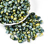 Glass Seed Beads SEED-T009-02E-2
