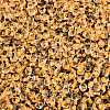 6/0 Inside Colours Transparent Glass Seed Beads SEED-T007-07F-2