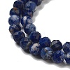 Natural Sodalite Beads Strands G-B088-C03-04-4