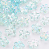 Transparent Acrylic Beads TACR-S154-45C-754-1