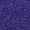 MIYUKI Round Rocailles Beads SEED-X0054-RR0484-3