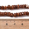 Dyed Natural Freshwater Shell Beads Strands SH-CBA2978-04A-4