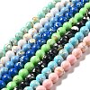 Synthetic Turquoise and Sea Shell Assembled Beads Strands G-D482-01A-1
