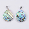 Abalone Shell/Paua Shell Pendants SSHEL-L008-20P-2