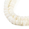 Natural Freshwater Shell  Beads Strands BSHE-H109-07-4