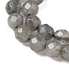 Natural Labradorite Beads Strands G-G213-4mm-03-3