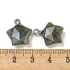 Natural Labradorite Pendants G-P540-01P-06-3