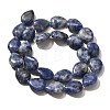 Natural Blue Spot Jasper Beads Strands G-P561-B06-01-3
