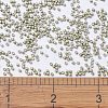 MIYUKI Delica Beads SEED-J020-DB1181-4
