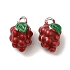 Brass Enamel Charms KK-S368-02P-01-1