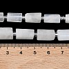 Natural Rainbow Moonstone Beads Strands G-C270-J01-5
