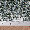 MIYUKI Delica Beads X-SEED-J020-DB2523-4