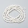 Natural Spiral Shell Beads Strands X-BSHE-I011-11C-2