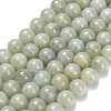 Natural Myanmar Jade/Burmese Jade Beads Strands G-L642-B11-8mm-2