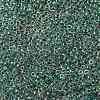 MIYUKI Round Rocailles Beads X-SEED-G008-RR0277-3