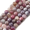 Natural Purple Red Tourmaline  Beads Strands G-N327-02A-01-2