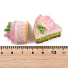 Opaque Resin Cabochons CRES-T027-03-3