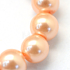 Baking Painted Pearlized Glass Pearl Round Bead Strands HY-Q003-10mm-18-3