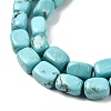 Natural Magnesite Beads Strands G-P598-D01-01-4