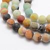 Frosted Natural Flower Amazonite Bead Strands G-L460-01-12mm-1