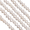 1 Strand Natural Cultured Freshwater Pearl Beads Strands PEAR-CA0001-15B-3