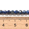 Natural Lapis Lazuli Beads Strands G-Z035-A01-02C-4