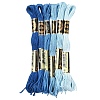 6Bundles 6 Colors Polyester Embroidery Floss OCOR-YW0001-24E-1