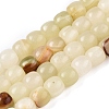 Dyed Natural White Jade Beads Strands G-T138-210B-4