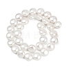 Electroplated Shell Pearl Beads Strands BSHE-G027-13B-3