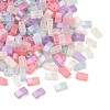 Glass 2-Hole Baking Paint Glass Seed Beads GLAA-G130-01C-1
