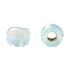 TOHO 11/0 Round Beads X-SEED-TR11-PF2118-4