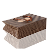 Rectangle Polka Dot Paper Bags CARB-F001-15E-3
